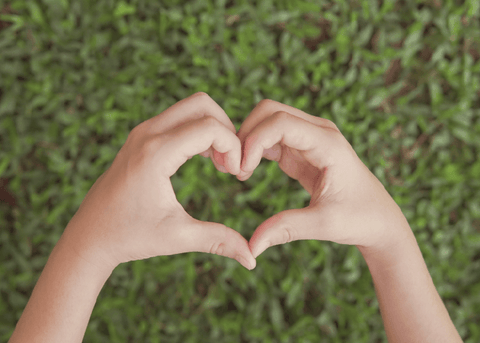 World Vegan Day: wat is vegan wasmiddel?